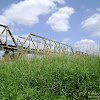 dsc05049.jpg