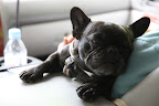 First, find a comfortable position to snuggle.  I prefer a cozy friend, like Laura here.