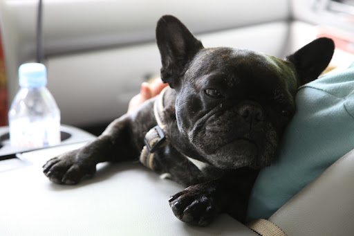 First, find a comfortable position to snuggle.  I prefer a cozy friend, like Laura here.