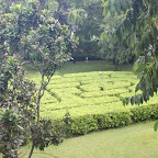IMG_9954.JPG