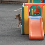DSCN4562.jpg
