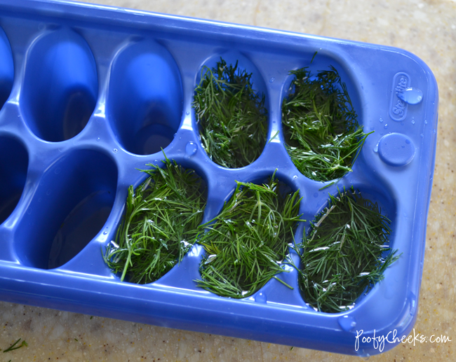 Dill Ice Cubes by Poofy Cheeks