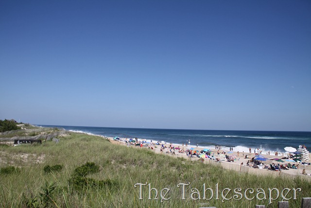 [Hunter%2527s%2520Beach%2520Birthday%2520088%255B3%255D.jpg]
