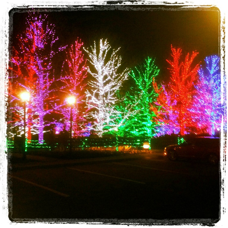 [IMG_20121217_001421%255B3%255D.jpg]