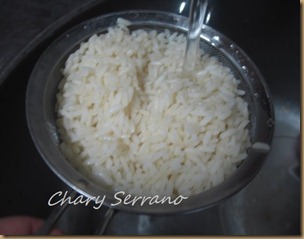 IMG_0154 IMG_0154