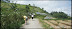 tawang mangu trekking DSC07375.jpg