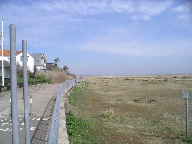 IMGP4373