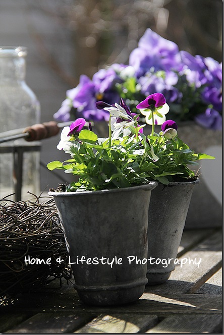 Home & Lifestyle Home & Lifestyle