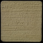 Palomino Broomed.jpg