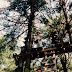 Adventure Centre History - 092.jpg