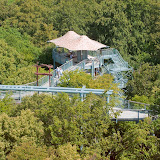 Baumkronenpfad