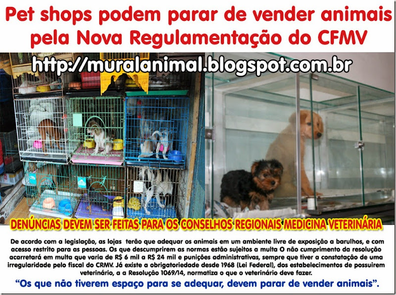 petshops_venda_animais