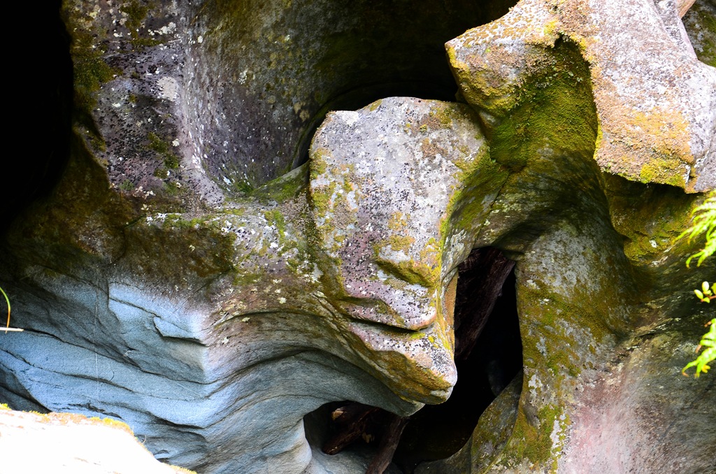 [milford%2520-%2520Nikon%2520026%255B3%255D.jpg]