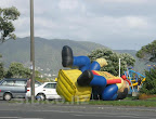 – Wellington gusts hold no prisoners – Wellington gusts hold no prisoners