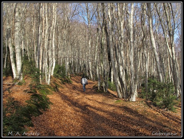 Sierra de alaiz 014