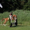 JB270511-21.jpg
