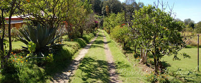 cabana-del-agustin-cerca-del-arroyo-de-avandaro-2.jpg