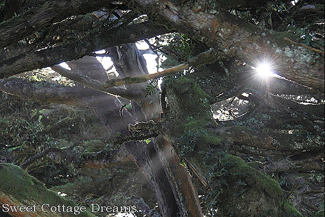 [IMG_1718%255B10%255D.jpg]