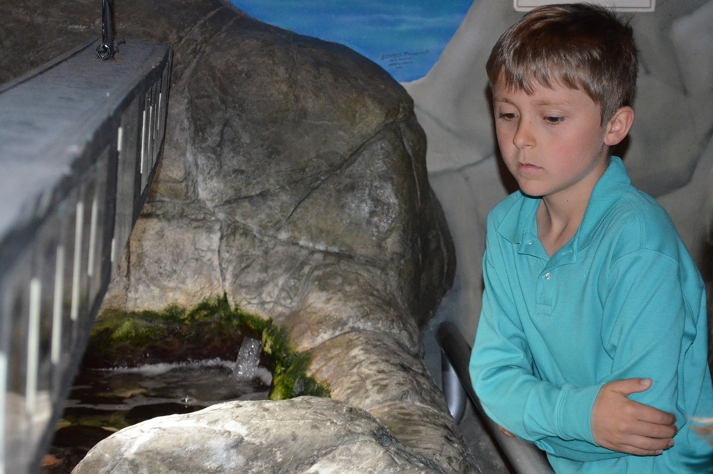 [DSC_0476%255B3%255D.jpg]