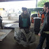 P1120121.JPG