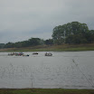 FestaVarzeadoBuriti2011-027.JPG