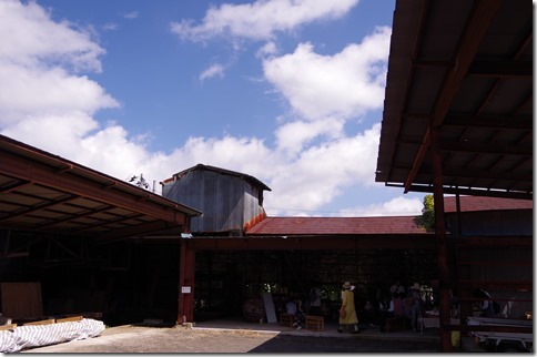 IMGP9355 IMGP9355