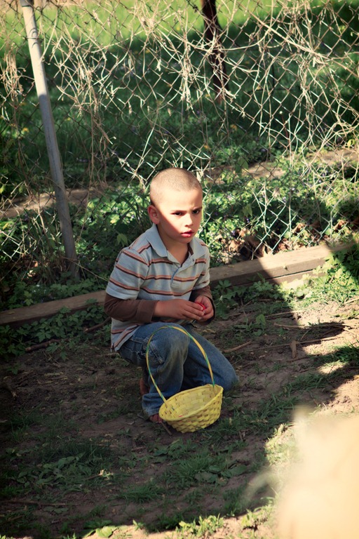 [IMG_0607%255B5%255D.jpg]