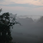 DSC_8528.JPG