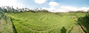 DSC_7947-Edit.jpg