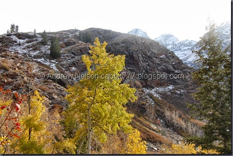 DSC_0805 DSC_0805