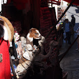 P5303453.JPG