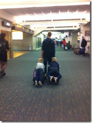 IMG_3167 IMG_3167