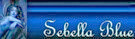 signature (1) signature (1)