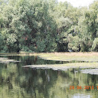 DSCN8131.JPG