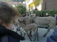 23102011653.jpg