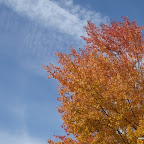 20091031 Allgaeu 0013 [640x480].JPG