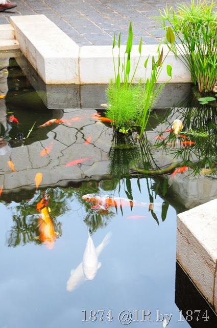 [IRS_6927%255B16%255D.jpg]