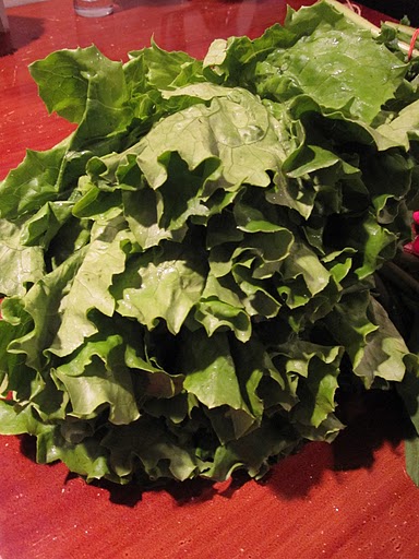 A very large head of lettuce!