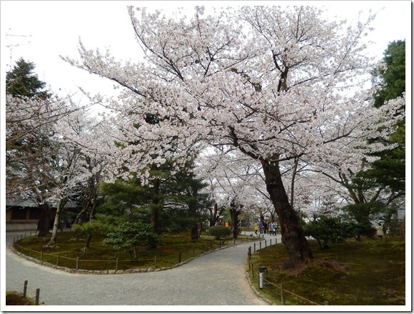 [2013OsakaTrip_Day5_42_thumb22.jpg]