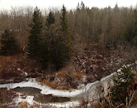 P1130766.JPG Photo