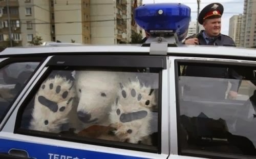 [clip_image0285.jpg]