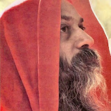 13.Waves Of Love - osho429.jpg
