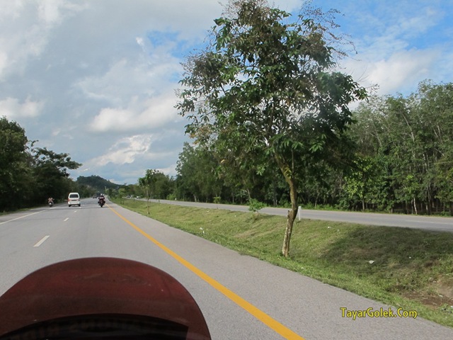 [IMG_68553.jpg]