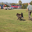 IMG_3147.JPG