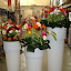 DSC07103.JPG