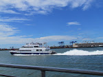 IMG_1553.jpg
