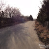 dsc06951.jpg