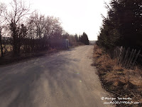 dsc06951.jpg