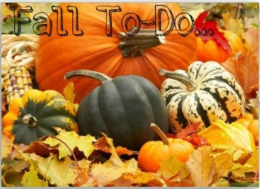 [pumpkins_in_fall_leaves_card-p137606709913123576b21fb_400%255B8%255D.jpg]