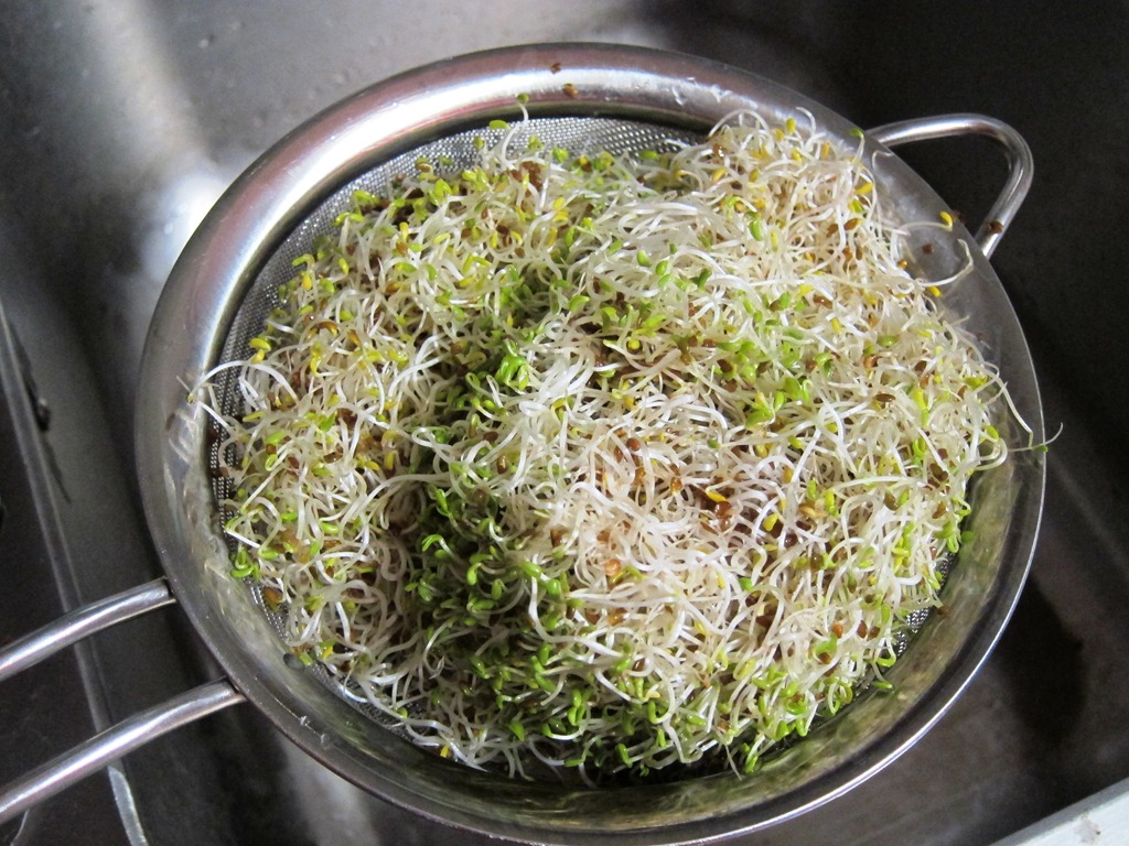 [IMG_1882%255B2%255D.jpg]